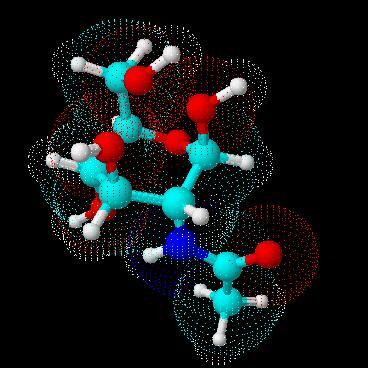 Large biological molecules and their types discussed