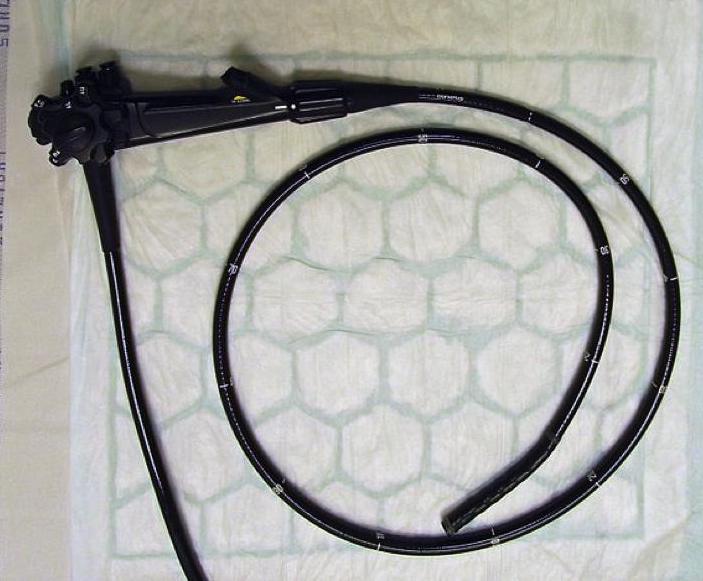 585px-Colonoscope.jpg