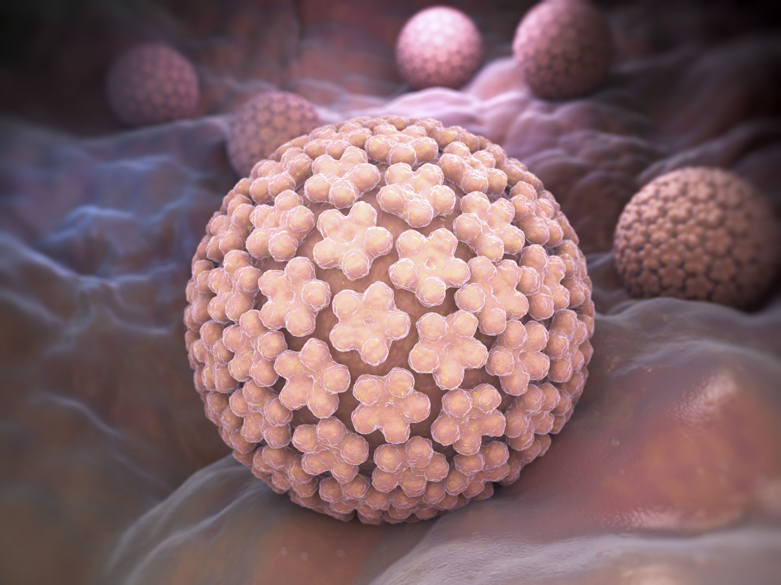 Francis Peyton Rous provides scientific backing to the Viral Theory of Cancer by injecting chickens with cell free liquids obtained from chicken sarcomas and observing the formation of sarcomas in the injected hens. The virus is named Rous sarcoma virus.This was the first demonstration of an oncogenic virus and would lead to the discovery of the first oncogene, src.The human papillomavirus is now considered to be the underlying cause of cervical cancer in humans.11                                                      Udwadia, Farokh Erach. Man and Medicine: A History. Oxford: Oxford University Press, 2000.          