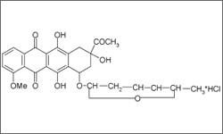 Diagram of the molecular structure of Daunorubicin
