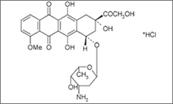 Diagram of the molecular structure of Doxorubicin