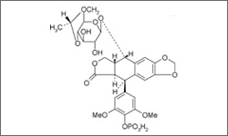 Diagram of the molecular structure of Etoposide