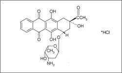 Diagram of the molecular structure of Idarubicin