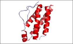 Diagram of the molecular structure of Interleukin-2 (IL-2), Aldesleukin