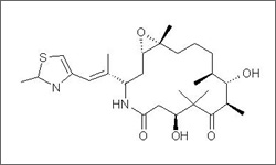 Diagram of the molecular structure of Ixabepilone