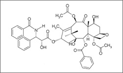 Diagram of the molecular structure of Paclitaxel