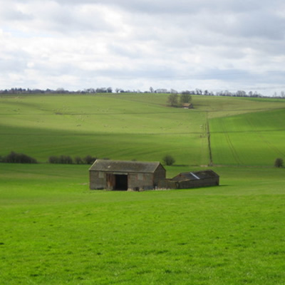 Barn surrounded by green grass fields