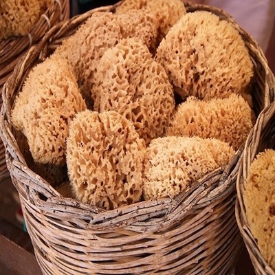 natural sponges in woven basket