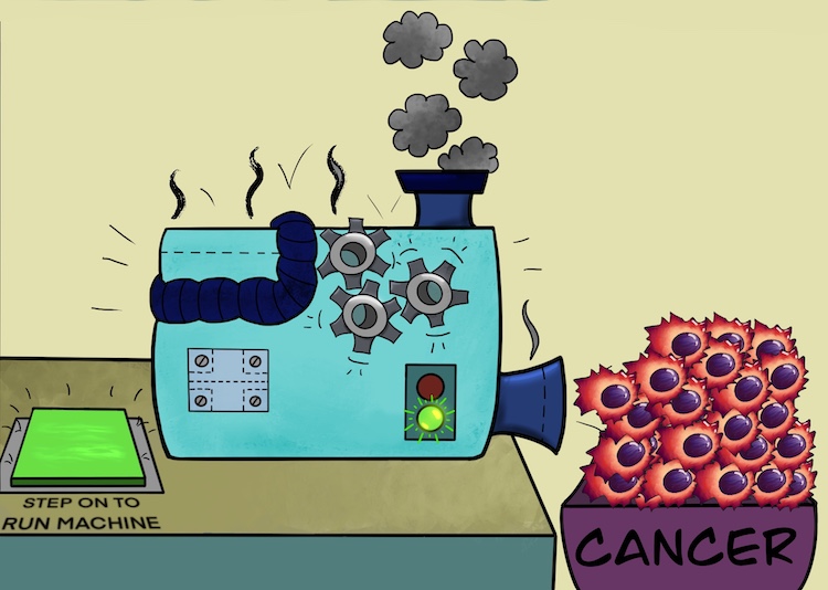 cancer cell division graphic showing loss of requirement for external signals