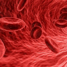 graphic of red blood cells in a vessel