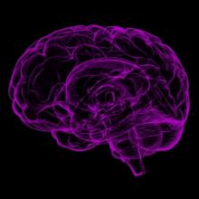 graphic of a brain - purple on black