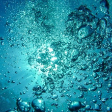 bubbles rising in water