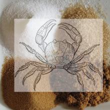cancer symbol (crab) on top of piles of different kinds of sugar