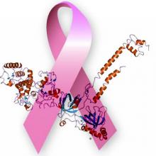 Fragmento de la proteína BRCA sobre el lazo rosado 